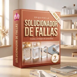 Bono 2, Solucionador de fallas
